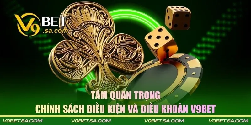 Điều kiện và điều khoản giúp xây dựng sân chơi hoàn hảo