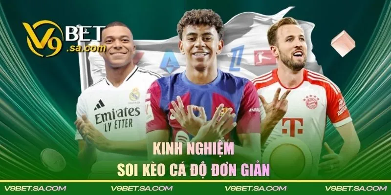 Kinh nghiệm soi kèo cá độ đơn giản cho anh em