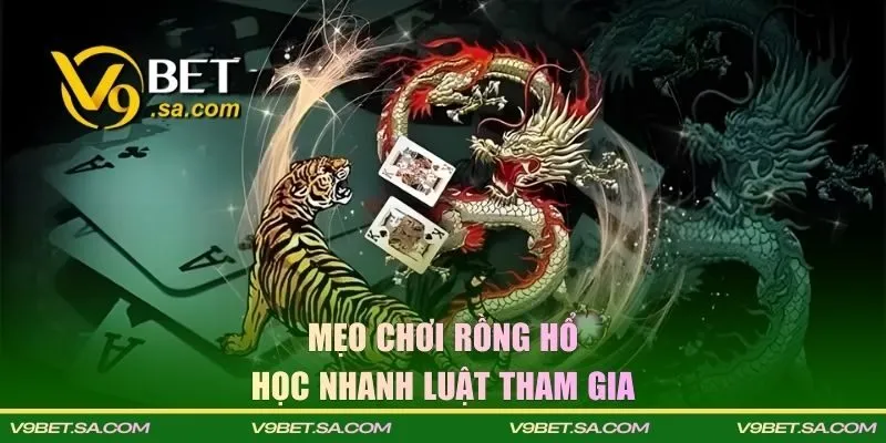 Mẹo chơi rồng hổ là học chắc luật tham gia